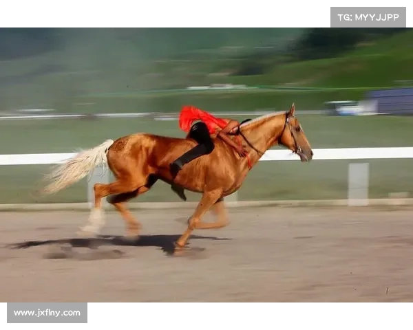 驯服雪白骏马踏上荣耀征途开启勇者的传奇骑士冒险旅程