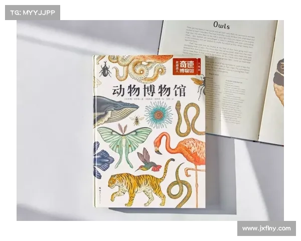 从少年天才到英格兰传奇全面解析哈里凯恩的辉煌足球人生